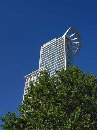 Westendtower mit Baum