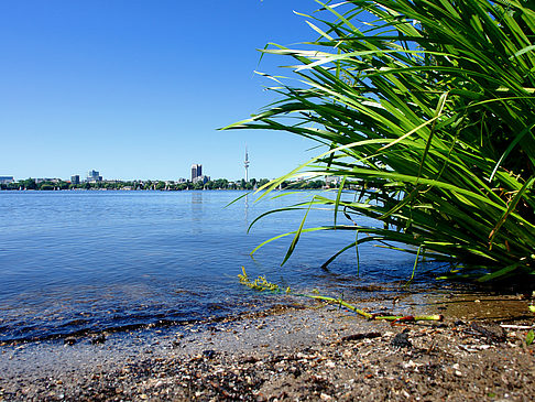 Foto Badestrand an der Außenalster - Hamburg