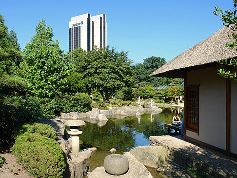 Planten un Blomen - Japanischer Garten